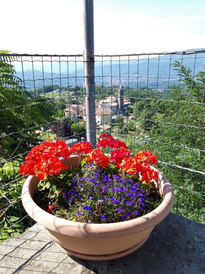 La Romanina Bagnone Exteriör bild
